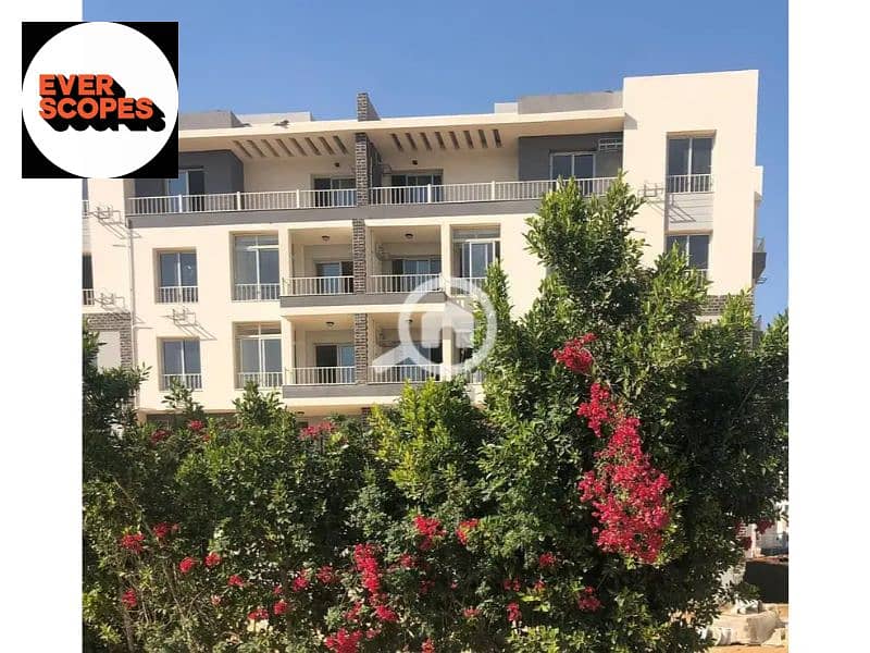 8 34033166-800x600. jpg