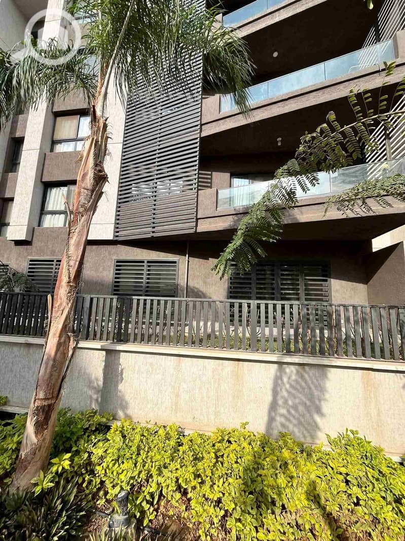 13 FB_IMG_1765375008367. jpg