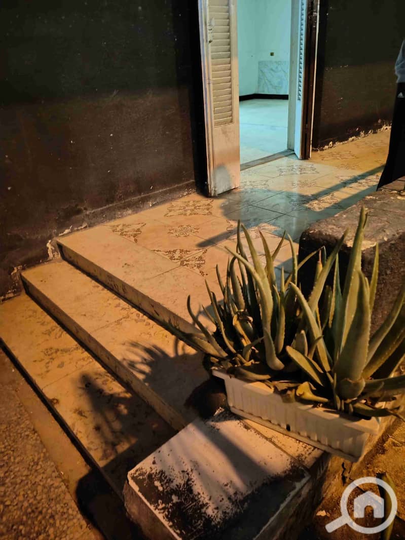 191365. jpg 191365. jpg