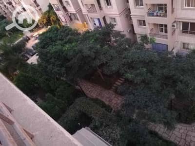 3 Bedroom Flat for Rent in Madinaty, Cairo - d8b03e29-328a-4f98-ac7e-6df4466c0f0f. jpg 3 Bedroom Flat for Rent in Madinaty, Cairo - d8b03e29-328a-4f98-ac7e-6df4466c0f0f. jpg