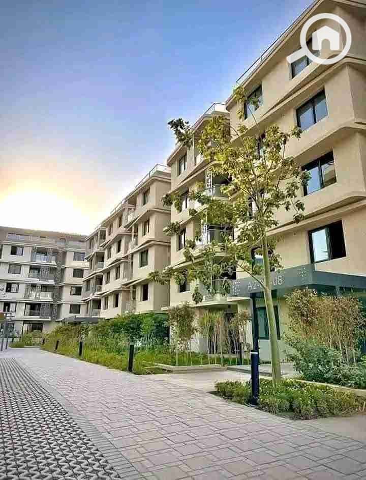 1000126145. jpg 1000126145. jpg