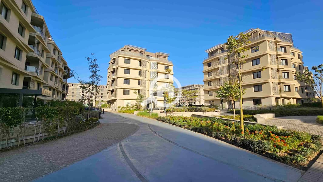 3 20251002_172115. jpg