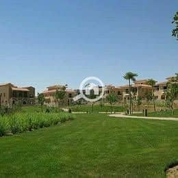 5 589924379_1398072035301657_2651881721185925285_n - Copy. jpg