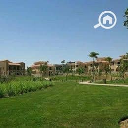 6 589924379_1398072035301657_2651881721185925285_n. jpg