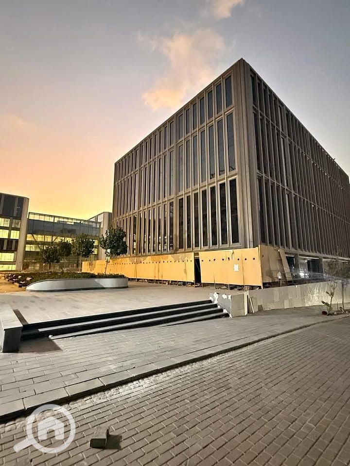 8 570172671_2432240703894817_2422417015347640785_n. jpg