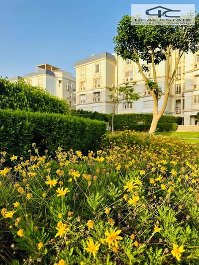 3 Bedroom iVilla for Sale in New Cairo, Cairo - IMG-20251210-WA0895. jpg