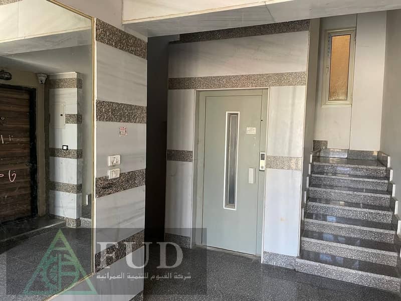 8 ff0db487-d2f6-4939-a91a-d50edca668dc. jpg