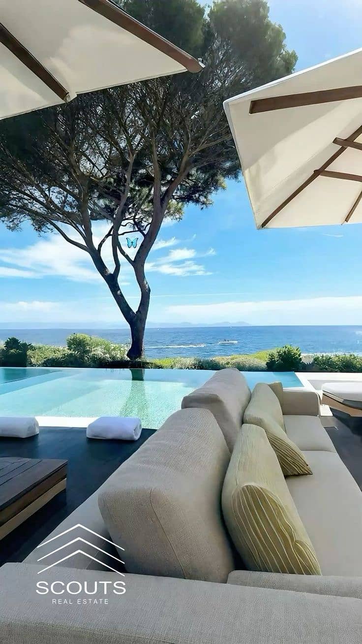 2 375dc148-66b4-425d-b250-6b8ec6cc428e. jpeg