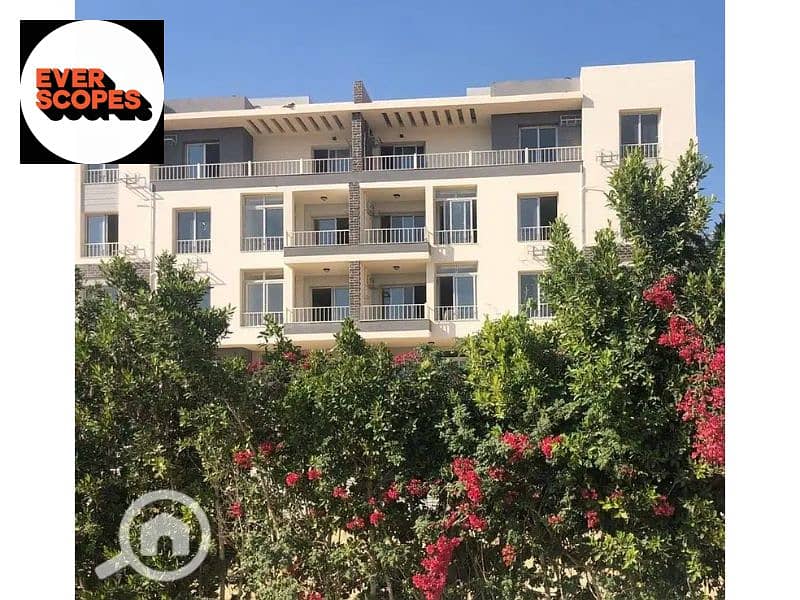 4 25116338-800x600. jpg