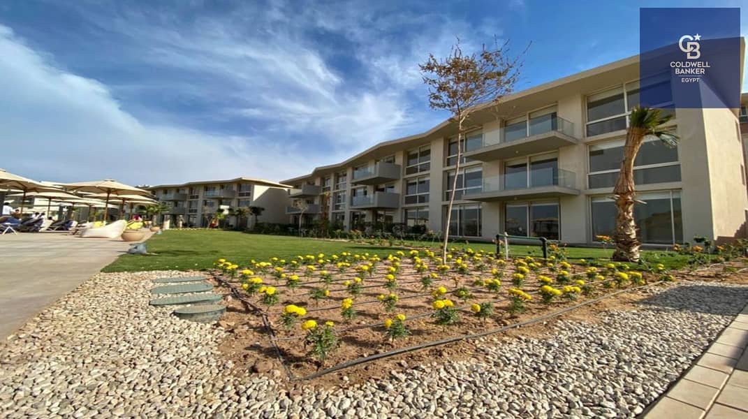 14 314398946_5616379451764946_2670020774023550559_n. jpg