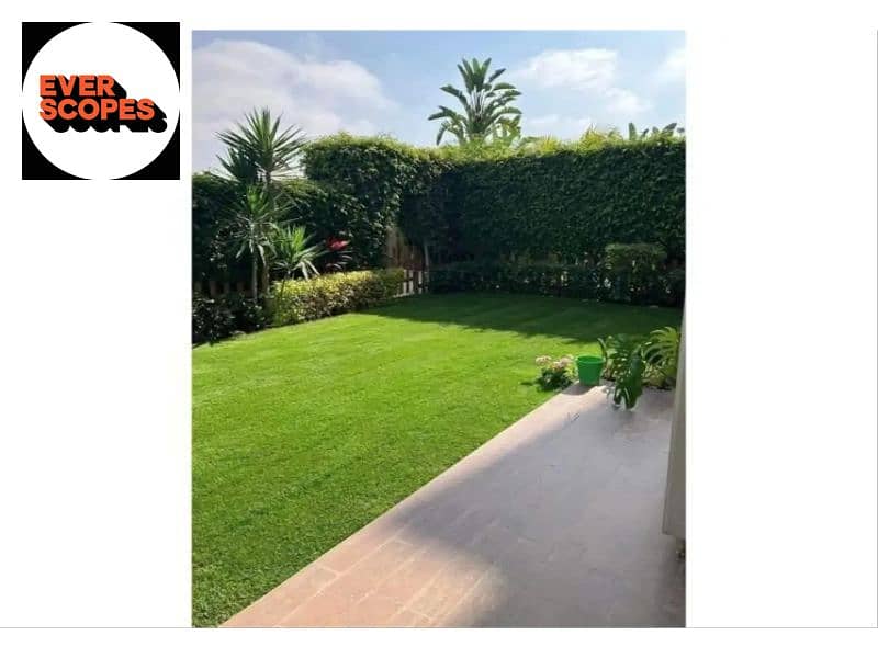 4 7017726-2ca60o. jpg