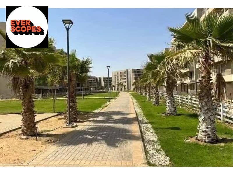 5 7017726-35da7o. jpg