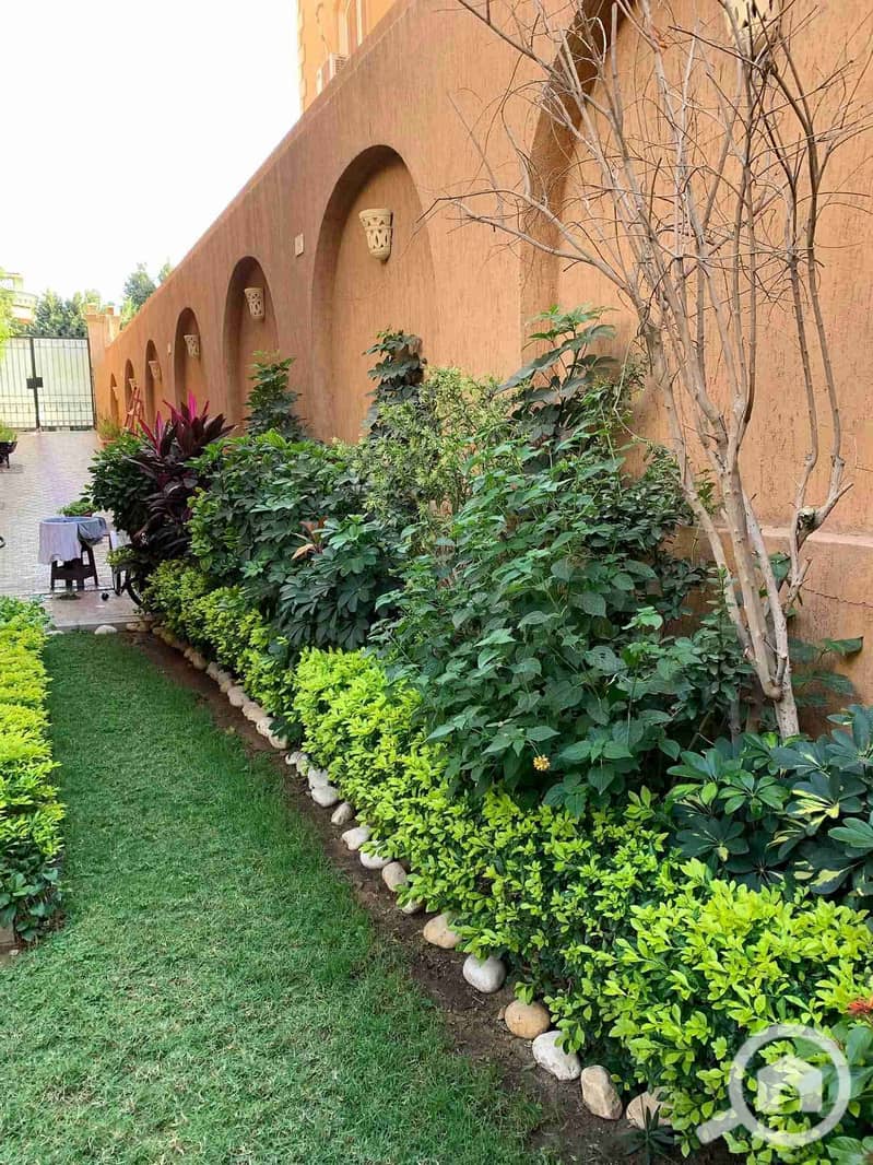 14 FB_IMG_1760471153726. jpg