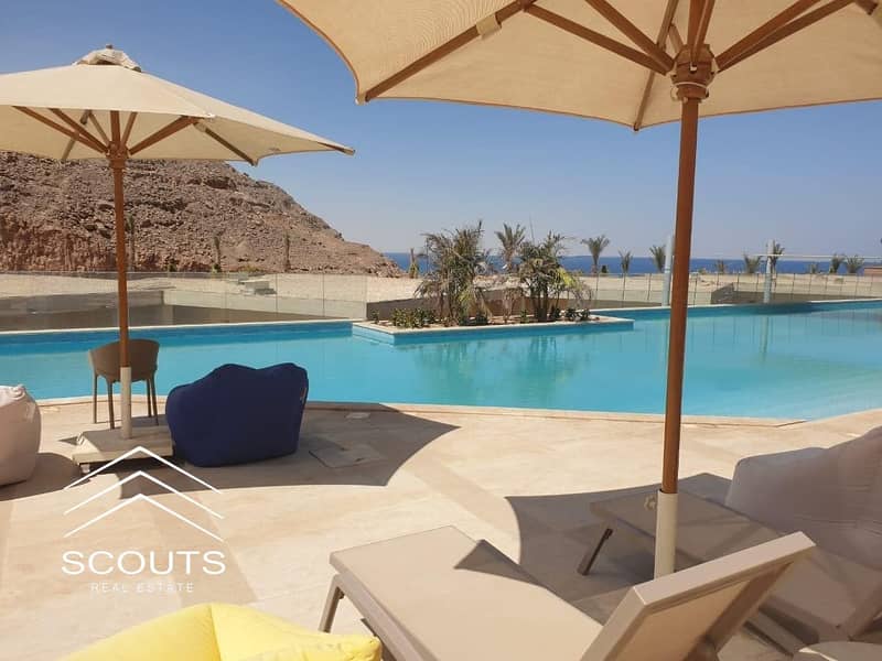 9 462966522_546111551693480_2512871102569168684_n. jpg