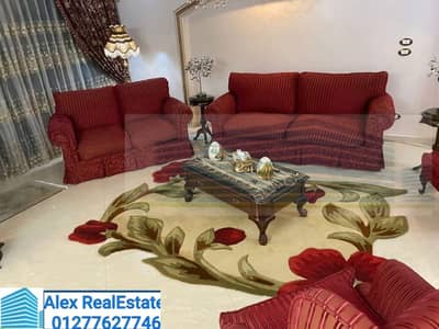 3 Bedroom Flat for Rent in Miami, Alexandria - WhatsApp Image 2025-12-11 at 1.19. 41 AM (2). jpeg