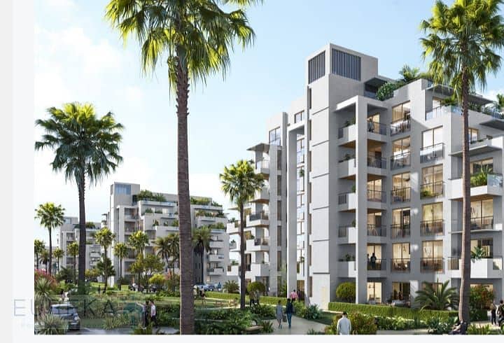 8 ff777cd5-c9e0-4c4c-ae1c-151477f5bb36. jpg