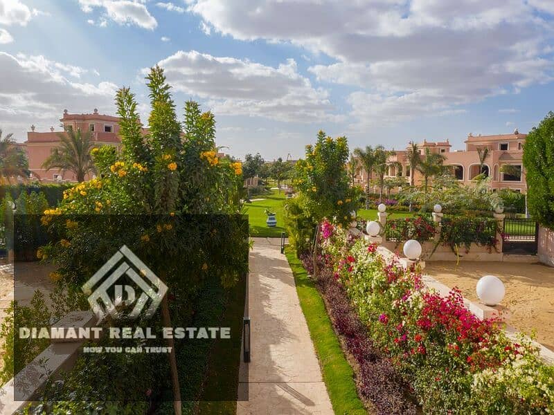 12 e8f1286b-e14d-4f6d-9eec-63d2f567e00b. jpg