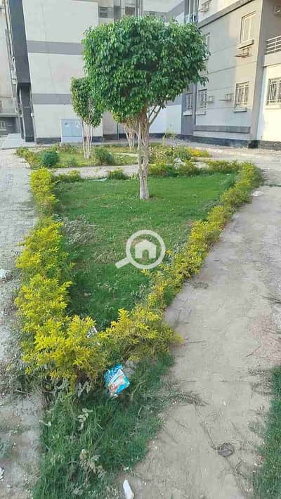 Residential Land for Sale in Sheikh Zayed, Giza - 1000491846. jpg