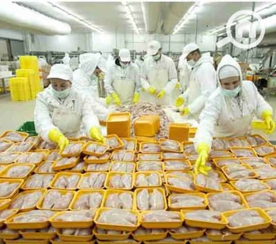 مصنع  للايجار في العاشر من رمضان، الشرقية - 1000338731. jpg