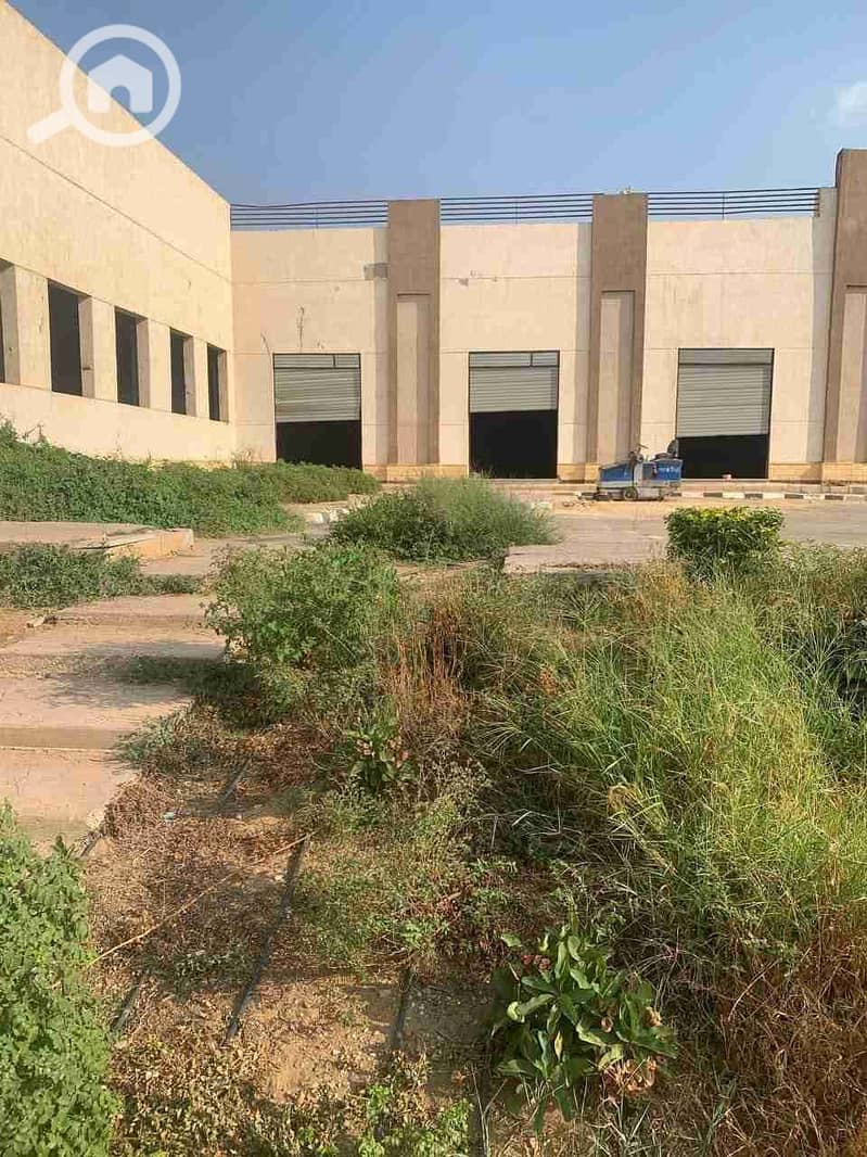 2 FB_IMG_1754968557583. jpg