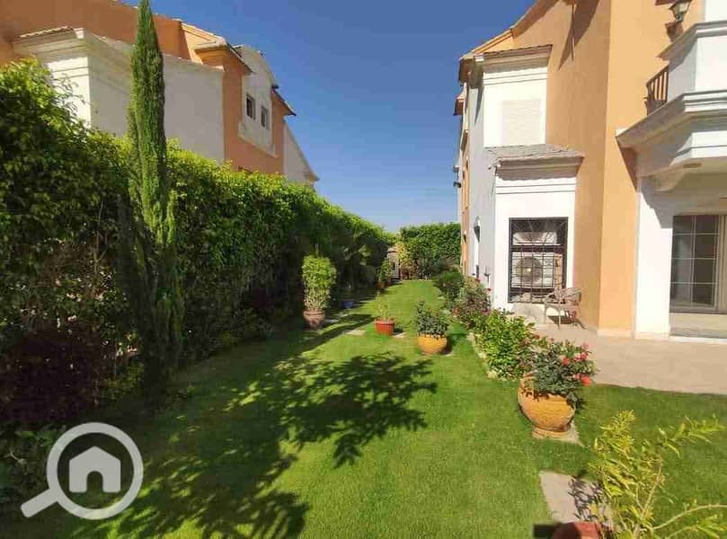 1000597831. jpg 1000597831. jpg