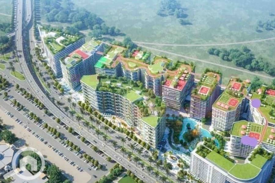 4 457193118_936641965164373_7697053552713594473_n. jpg