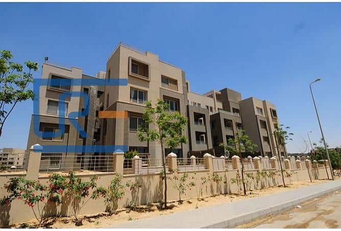 10 2967647-5f856o. jpg