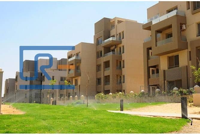 13 2967647-795c9o. jpg