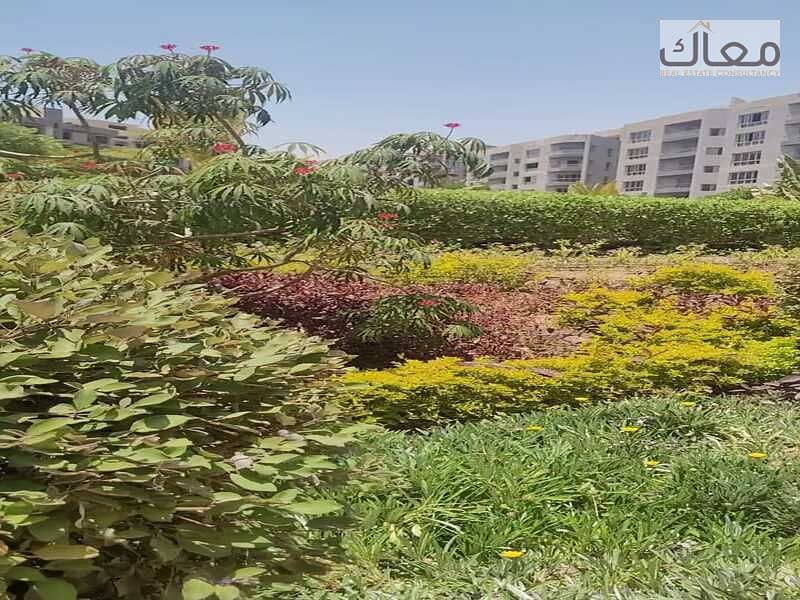 7 b8e5523e-3a86-4b81-bda1-d990a0fc4be6. jpg