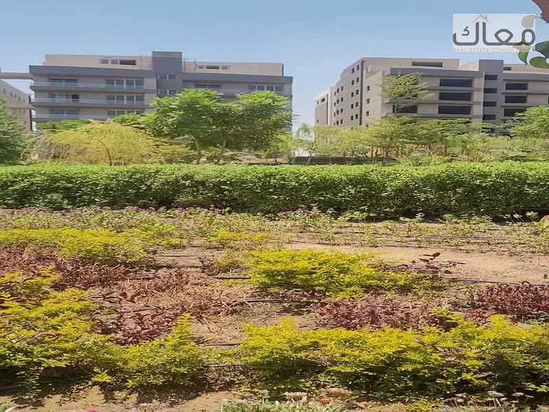 9 d36e1840-ba98-4db8-92c3-93896795d6e6. jpg