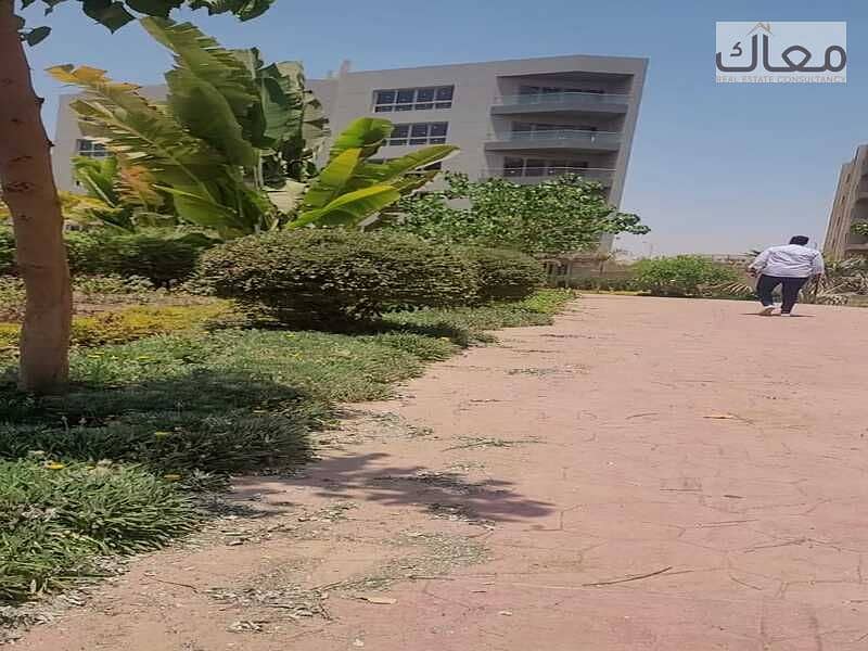 10 fa9ec3b6-2362-44ae-8f84-dd8b80a5b3c8. jpg