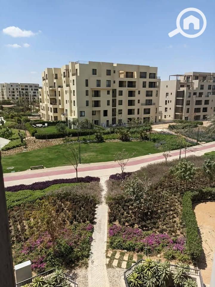 8 526726561_122125750208902727_6844257171257079068_n - Copy. jpg