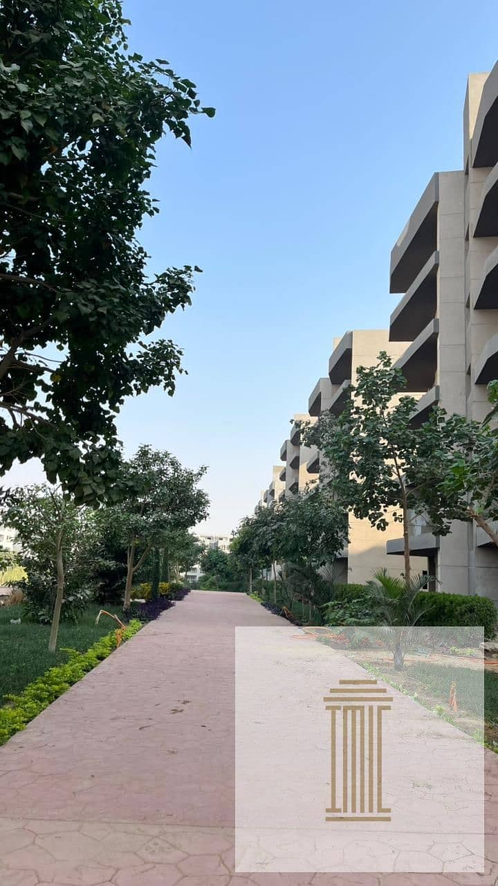 5 WhatsApp Image 2025-12-03 at 11.44. 27 AM (3). jpeg