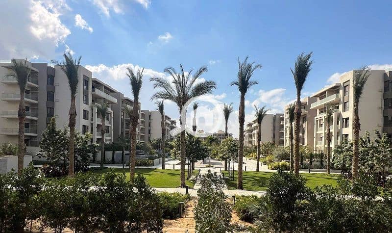 11 557020418_122315085650004075_5850000633450411292_n. jpg