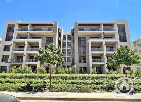 12 557554588_122315085542004075_1590616389293218370_n. jpg