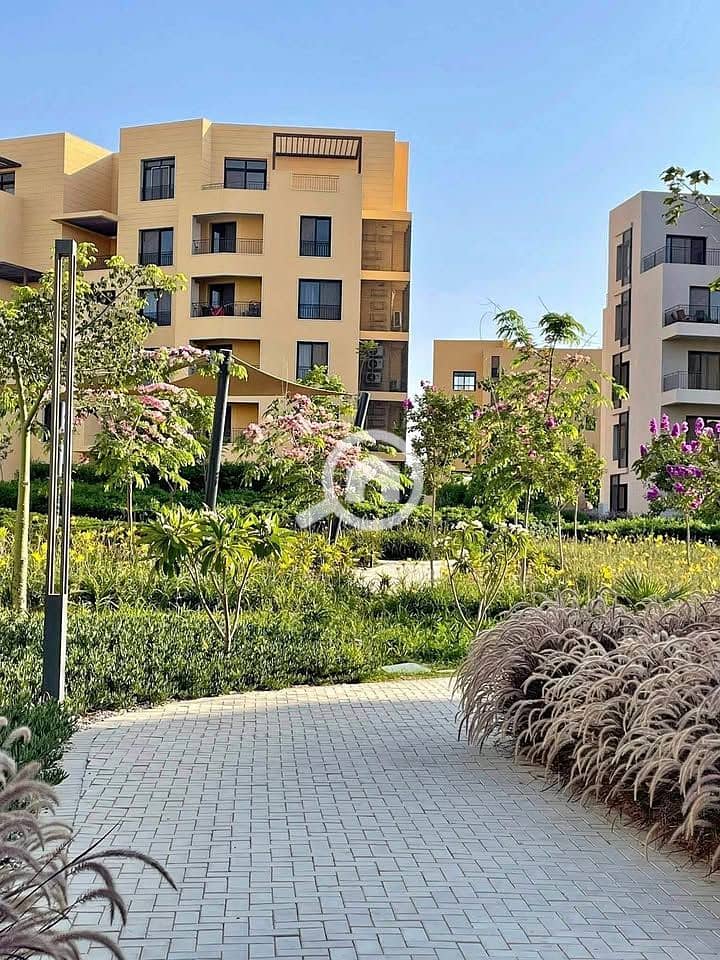 10 561987002_814232101148957_712919020463810510_n. jpg