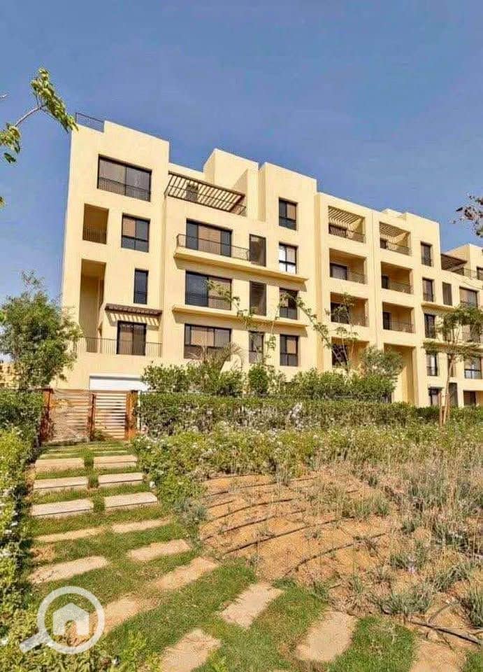 11 565330601_772730545596231_966148667905061466_n. jpg