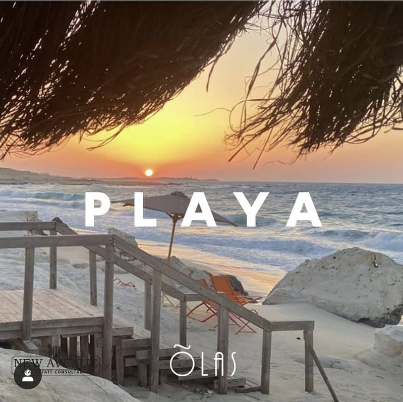 3 WhatsApp Image 2024-02-16 at 2.32. 53 AM-5. jpeg