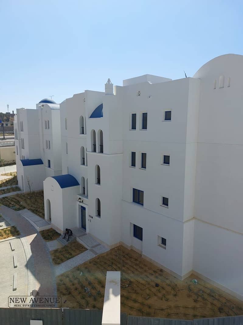 3 WhatsApp Image 2024-02-16 at 2.33. 51 AM-2. jpeg