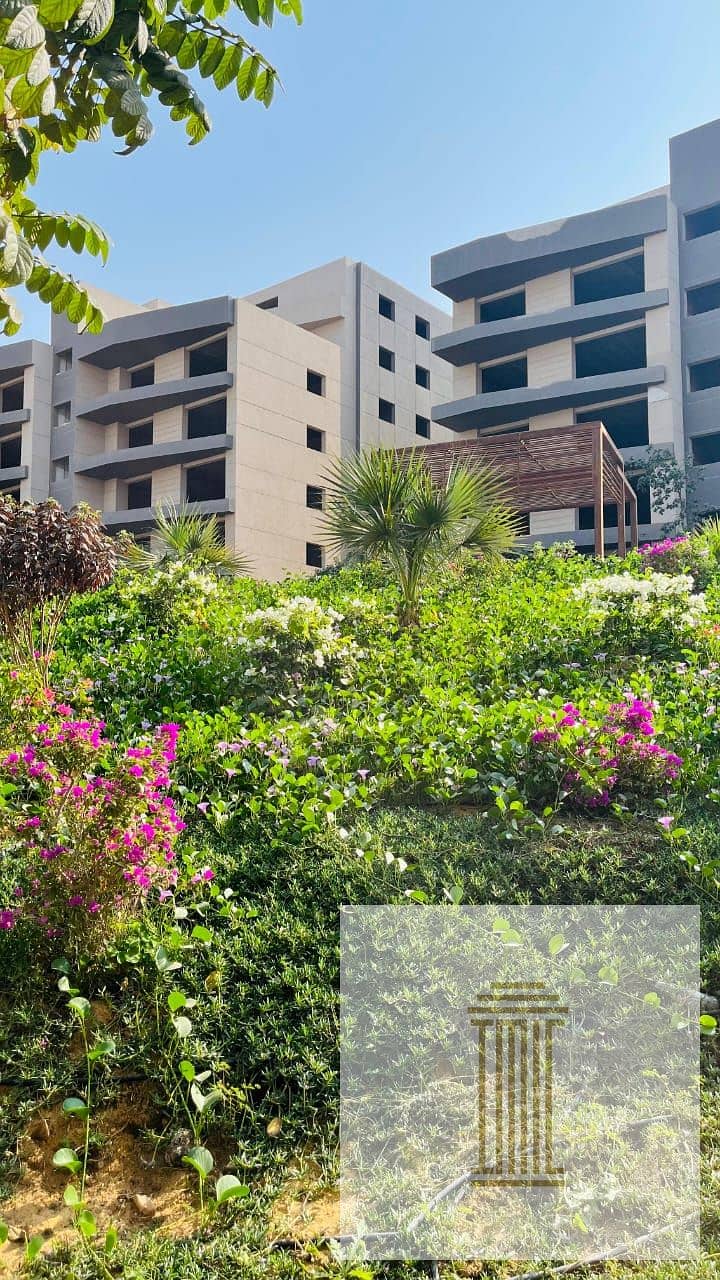 7 WhatsApp Image 2025-12-03 at 11.44. 25 AM (2). jpeg