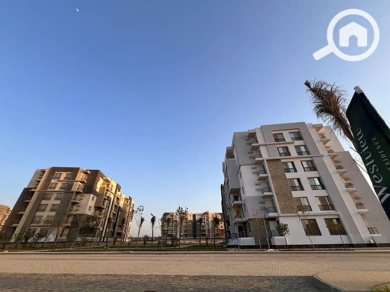 11 WhatsApp Image 2025-05-30 at 17.25. 22_cdf14673. jpg