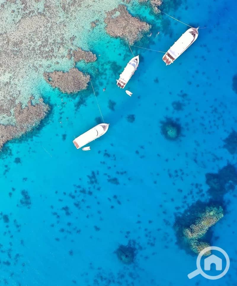 419057952_765649518921124_3513911977625190169_n. jpg