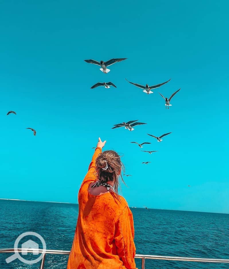 5 sahlhasheesheg_1724173155369. jpeg