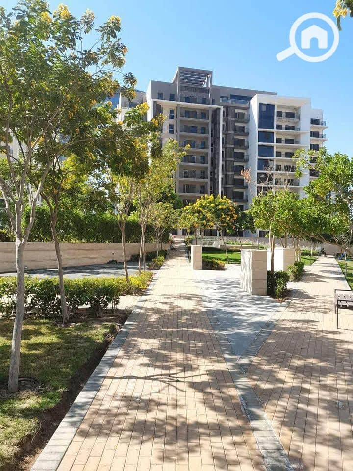 8 536061298_1418826046080279_6250830007288577550_n. jpg