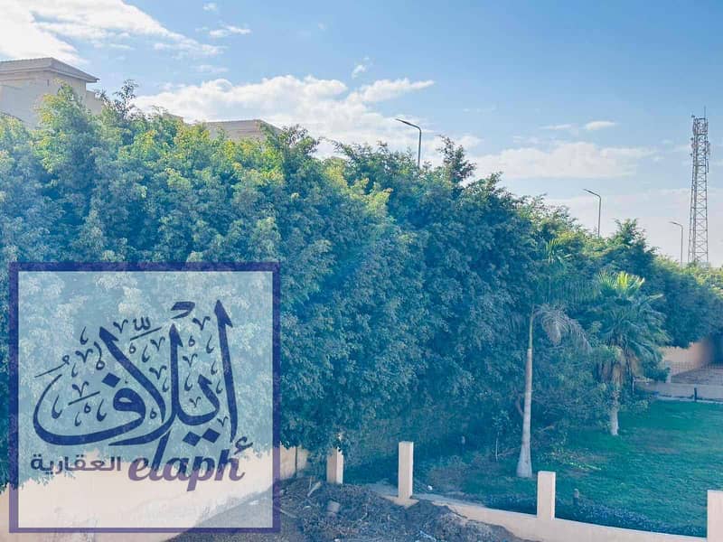 8 4c16cbb5-7e64-4e97-9aea-a69a9be6d786. jpg