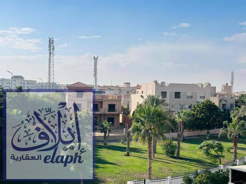 11 d3738404-76b0-4ca5-809c-f38f079a1d59. jpg