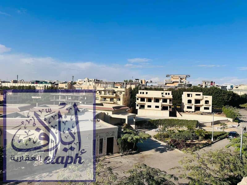 13 c14dc909-4d0e-45f4-9b5e-651e5674b2dd. jpg