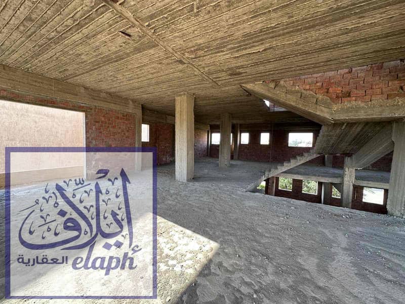 24 1e9be1d1-7930-437b-8eda-de4f0c7e3e6a. jpg