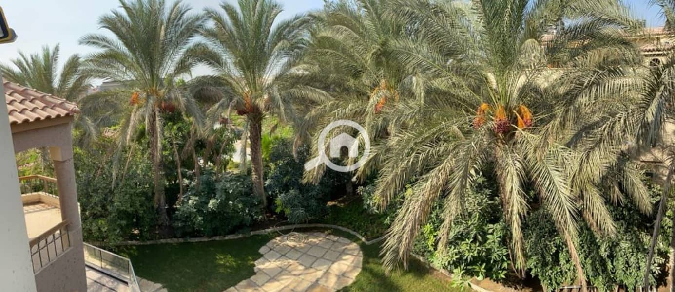 4 480277343_648367707548057_6454656646441288540_n. jpg