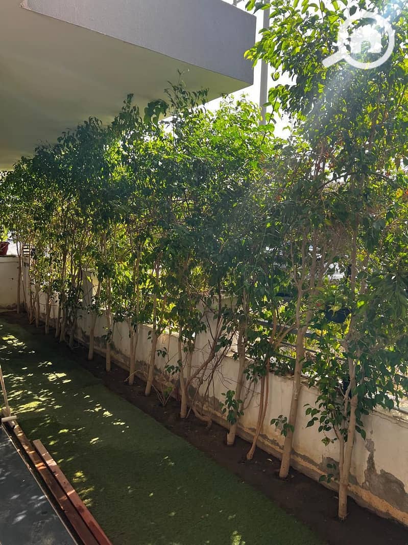 21 IMG-20251211-WA0079. jpg